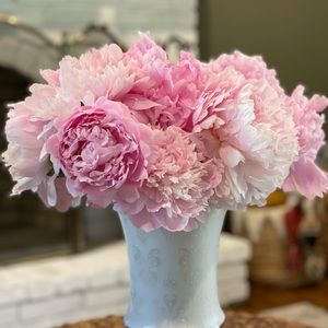 Meet your Posher, Monica